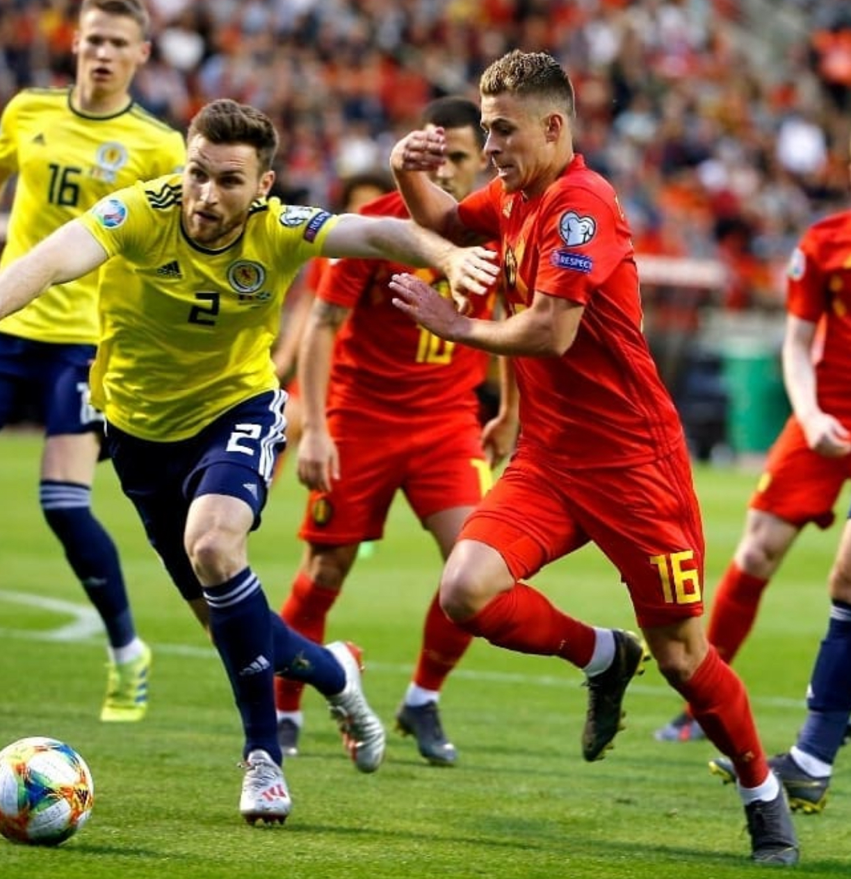 开云sport-包含阿尔及利亚队实力强悍，全队斗志昂扬的词条