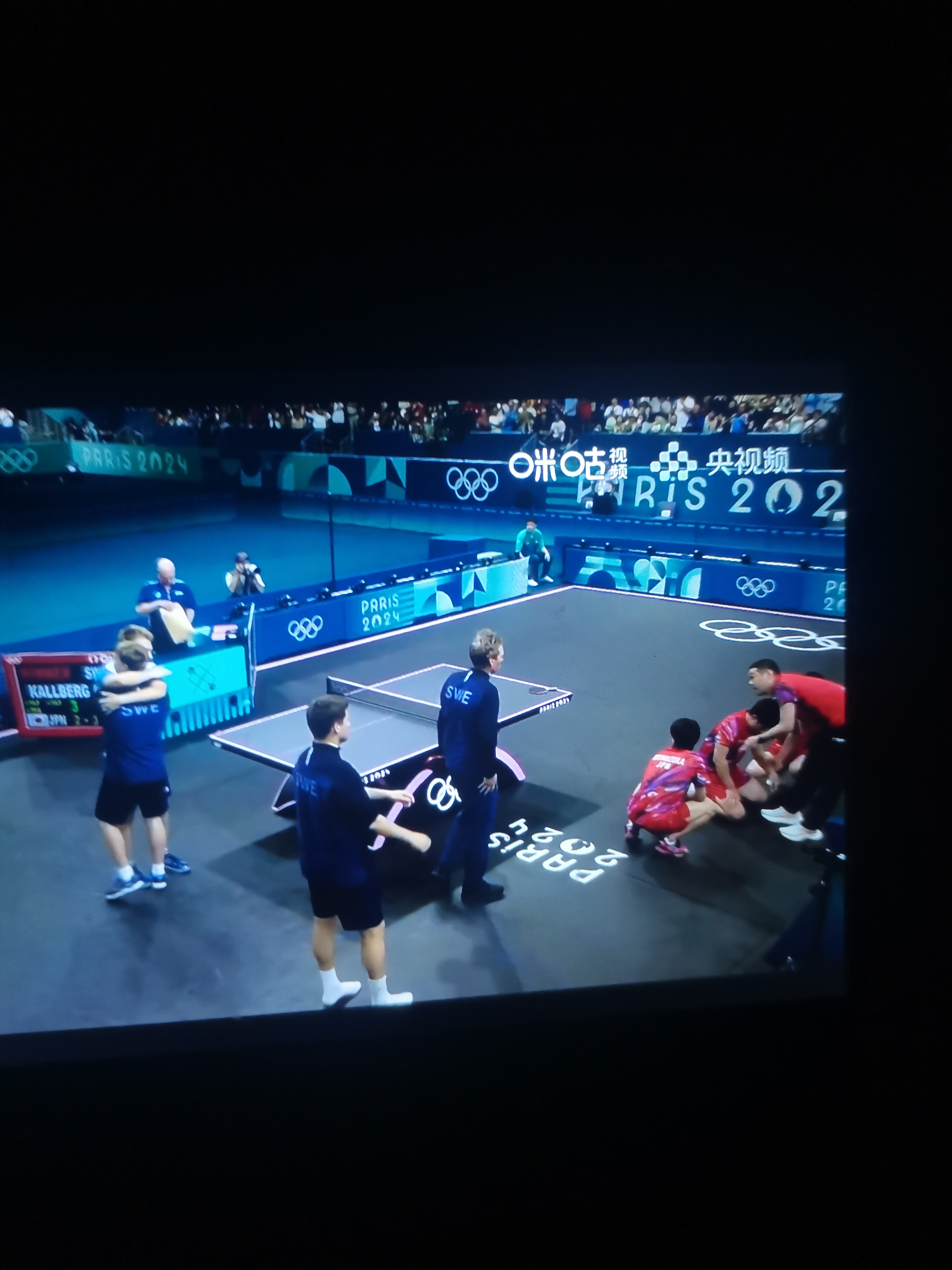 开云体育平台APP-瑞典队翻盘德国队，王皓高光表现