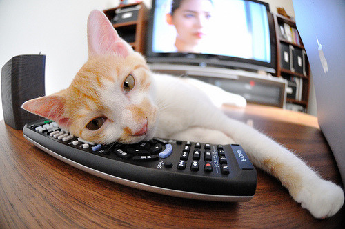 钢铁城墙与法老叹息,阿坎吉的统治力如何提前终结利物浦悬念