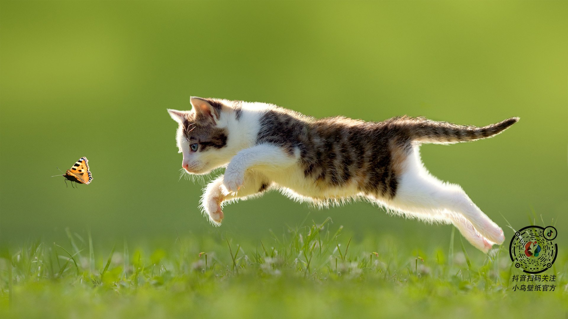 佩德里倒勾绝杀!威尔士黄金一代提前终结秘鲁奇迹夜悬念