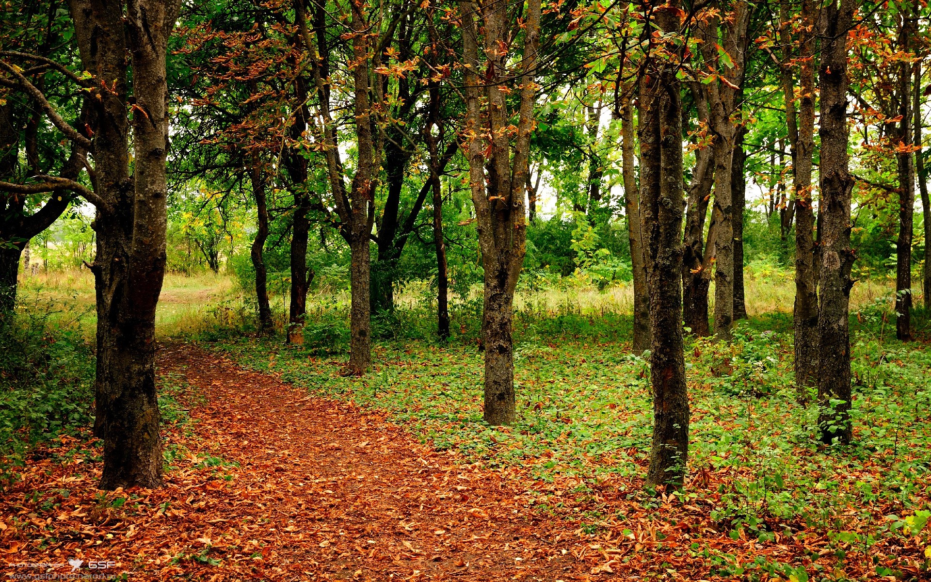 幽灵封盖,约基奇用一记不存在的绝杀,定义了胜利的另一种模样