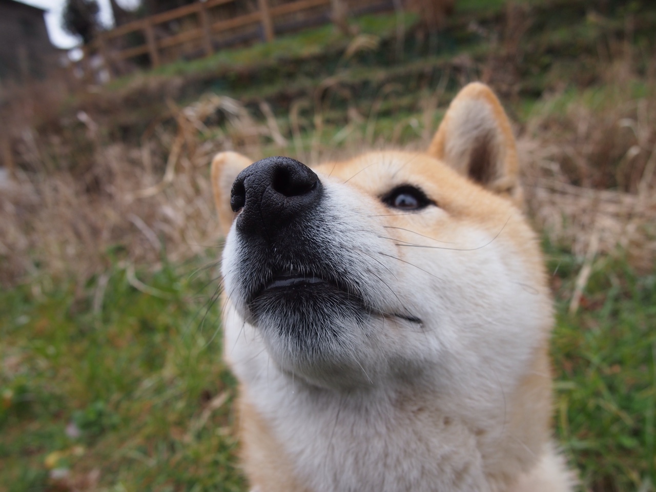 压顶之时，方见真金，詹姆斯绝境重生的一战