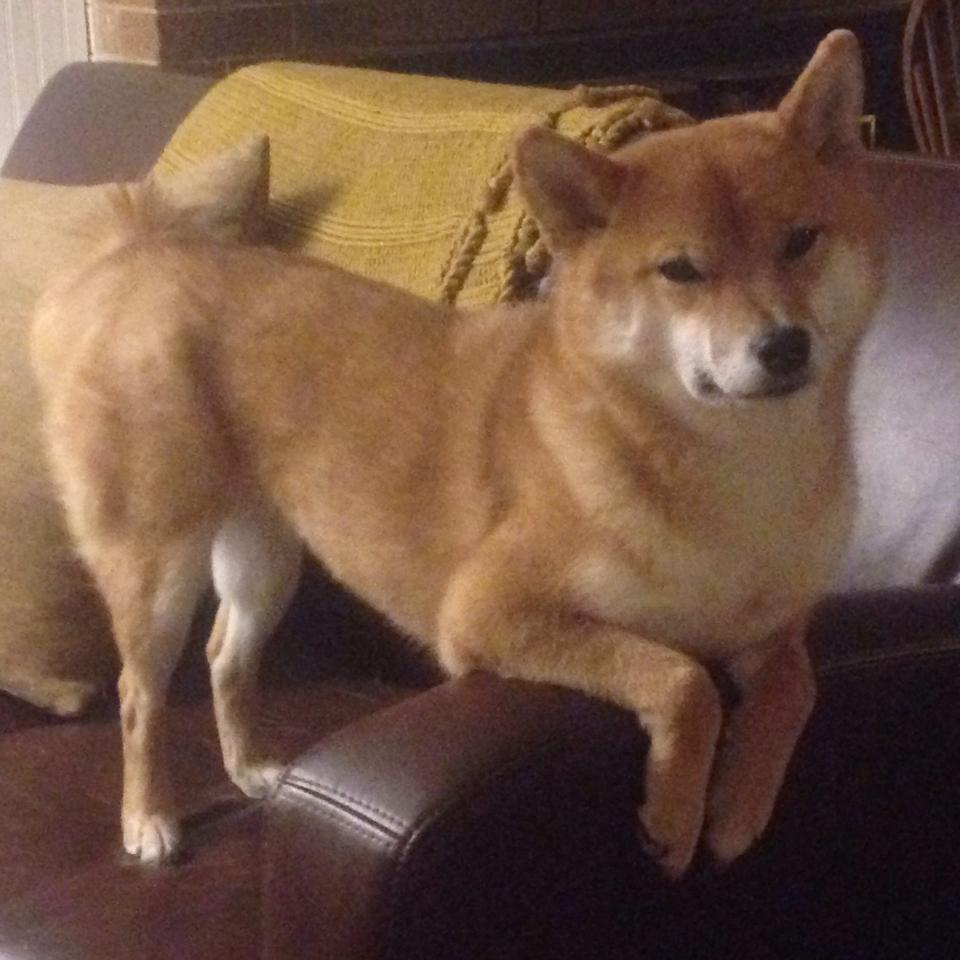 金色轨迹,横跨地球,一场被历史铭记的欧冠决赛焦点战