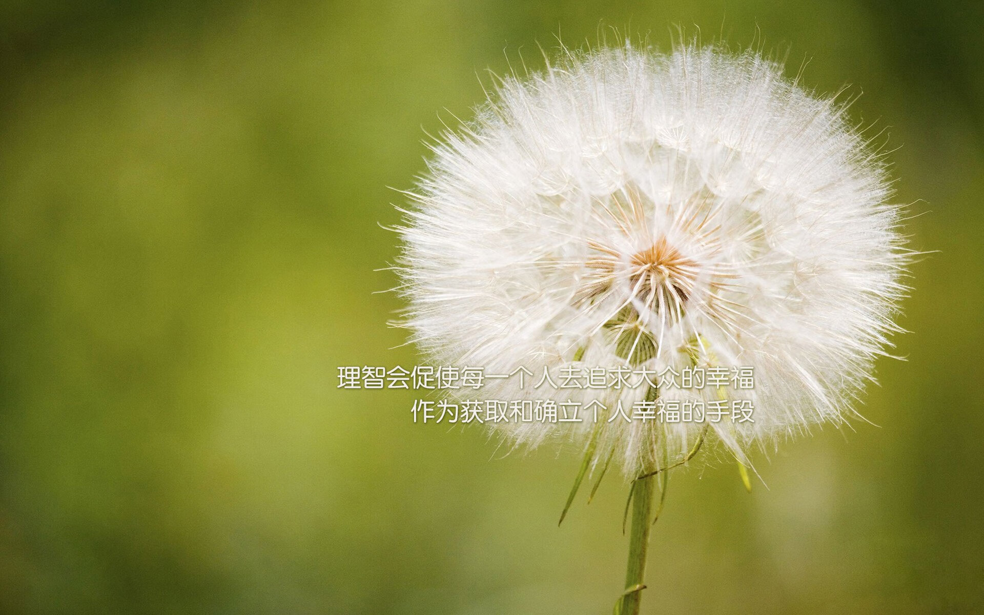 巨轮沉没之夜,无名小卒的审判日,乔治42分难阻上海男篮末节绝境翻盘