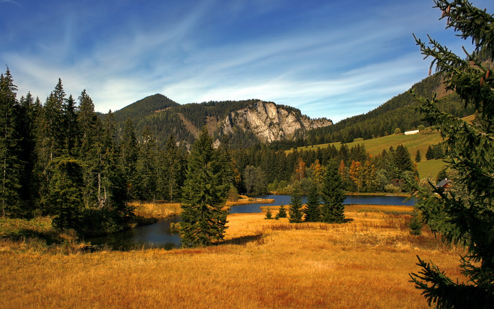 关键先生莫兰特?当身份错位点燃俄城之夜