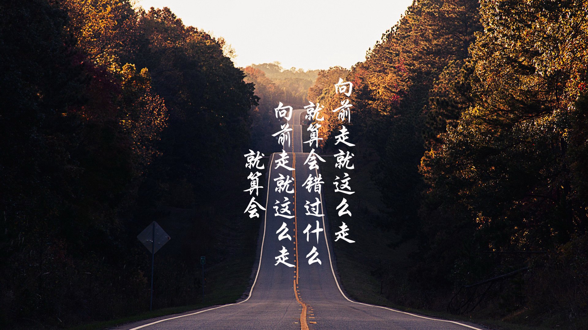 巅峰的两种形态,飞鸟与巨树