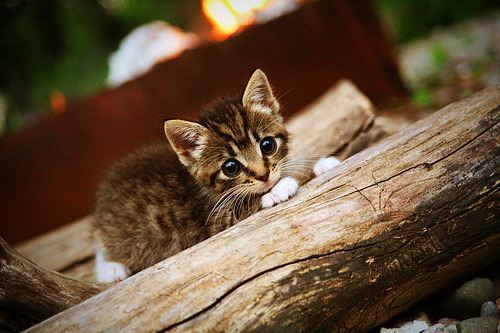 篮网一剑封喉，英格拉姆那把悬停19秒的封喉之剑
