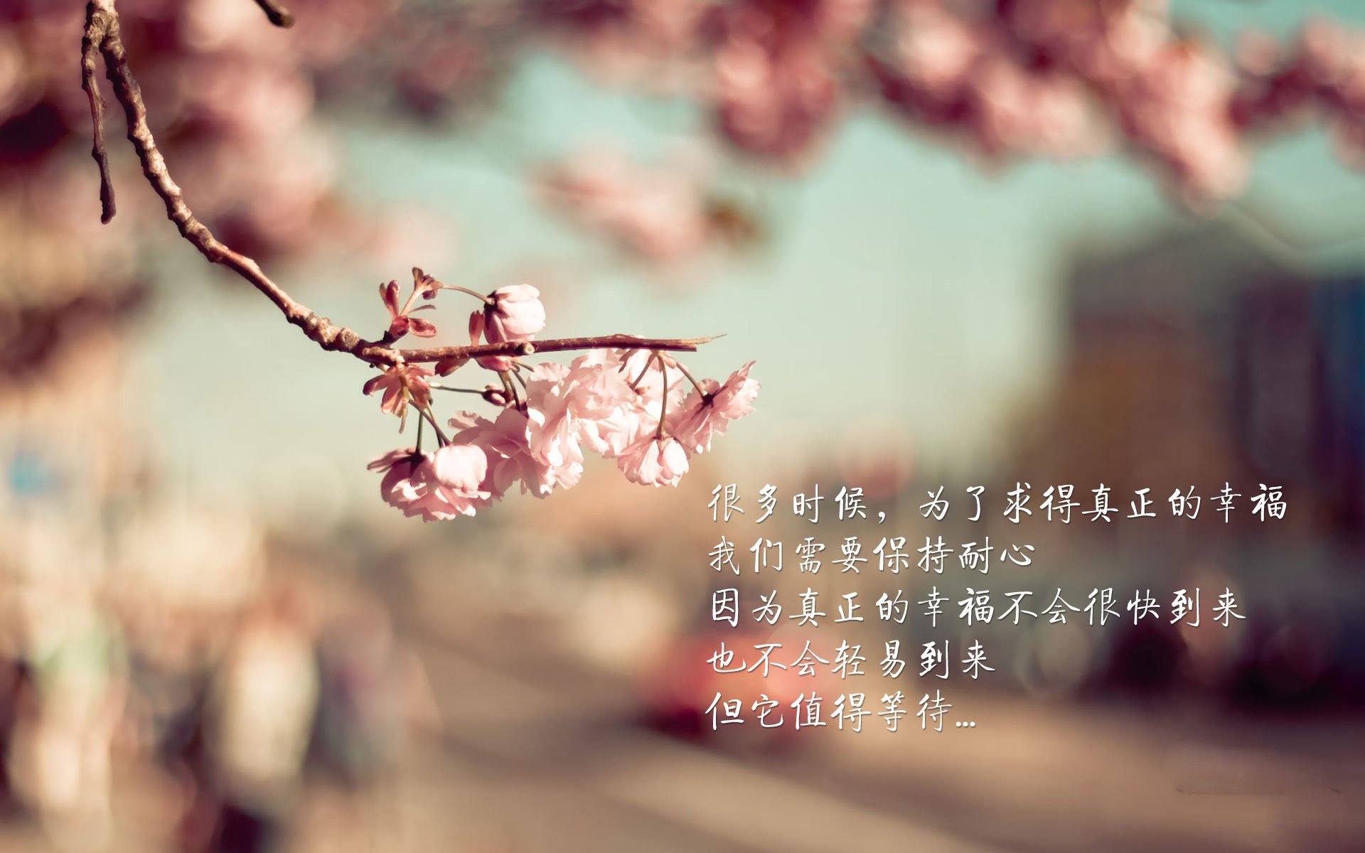 开云-极寒之地的火焰，内马尔神迹压哨绝杀，哥斯达黎加逆天改命掀翻冰岛