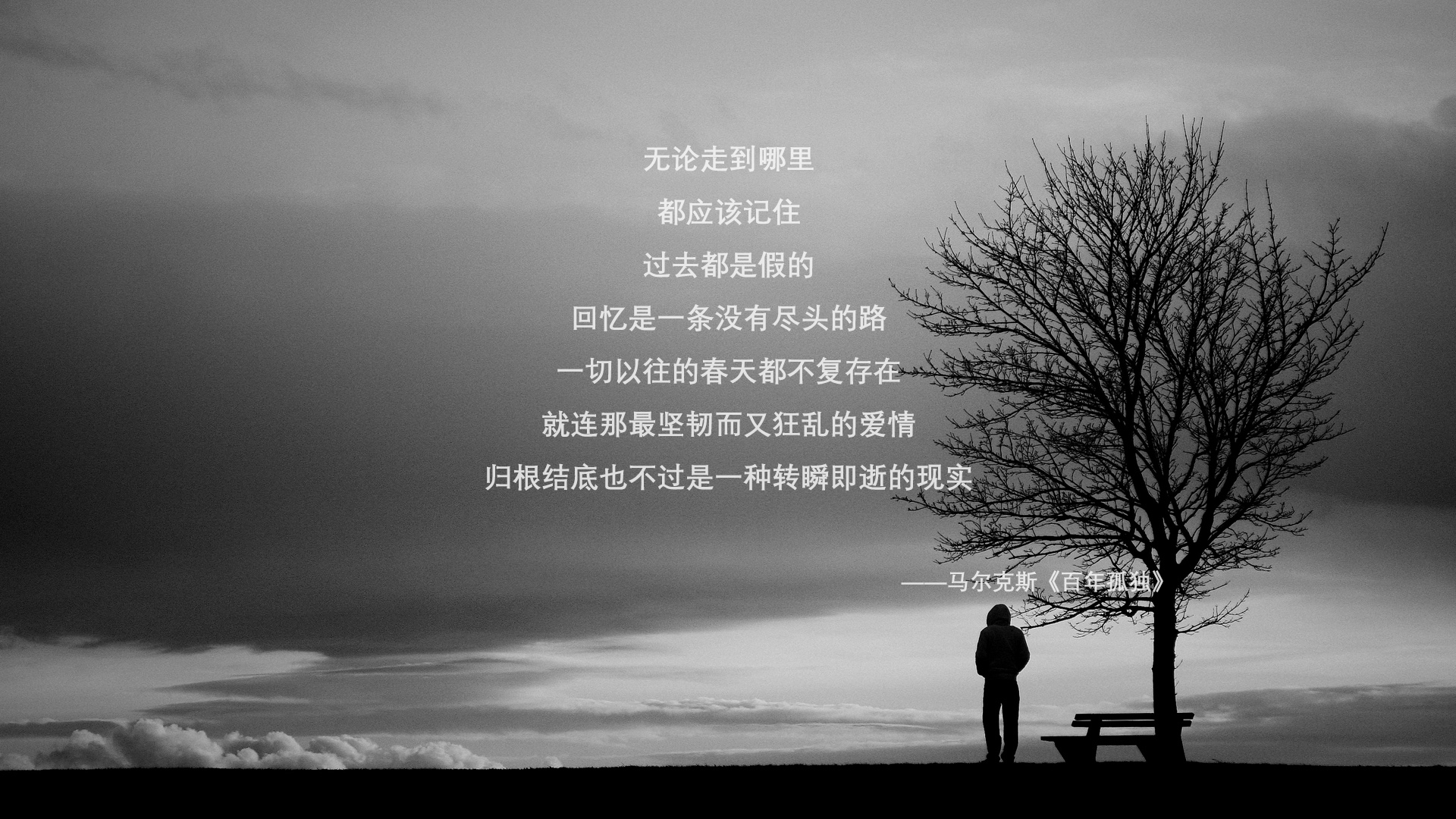 沙漠风暴席卷绿茵，2026世界杯豪门对决，沙特改写历史之夜，托纳利孤星闪耀成永恒注脚