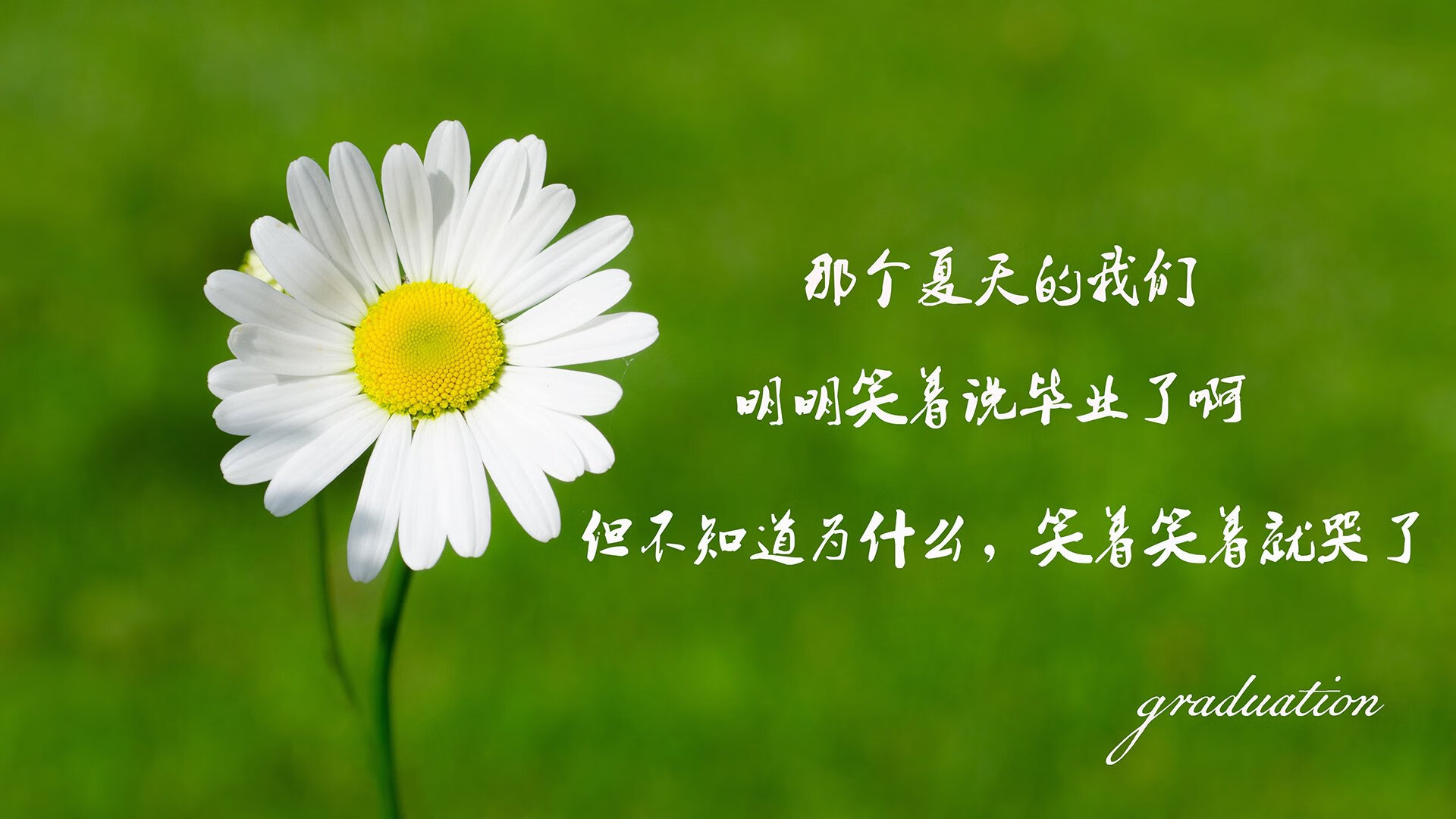 开云APP-钢铁洪流席卷斗牛士，波兰攻守美学闪耀2026，京多安定格G组巅峰之战