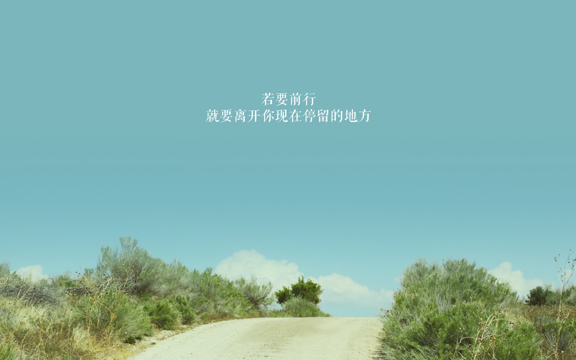 绿洲的逆袭,2026世界杯C组,当石油黑马用铁血压制奥地利,C罗为何成了那个最孤独的太阳?