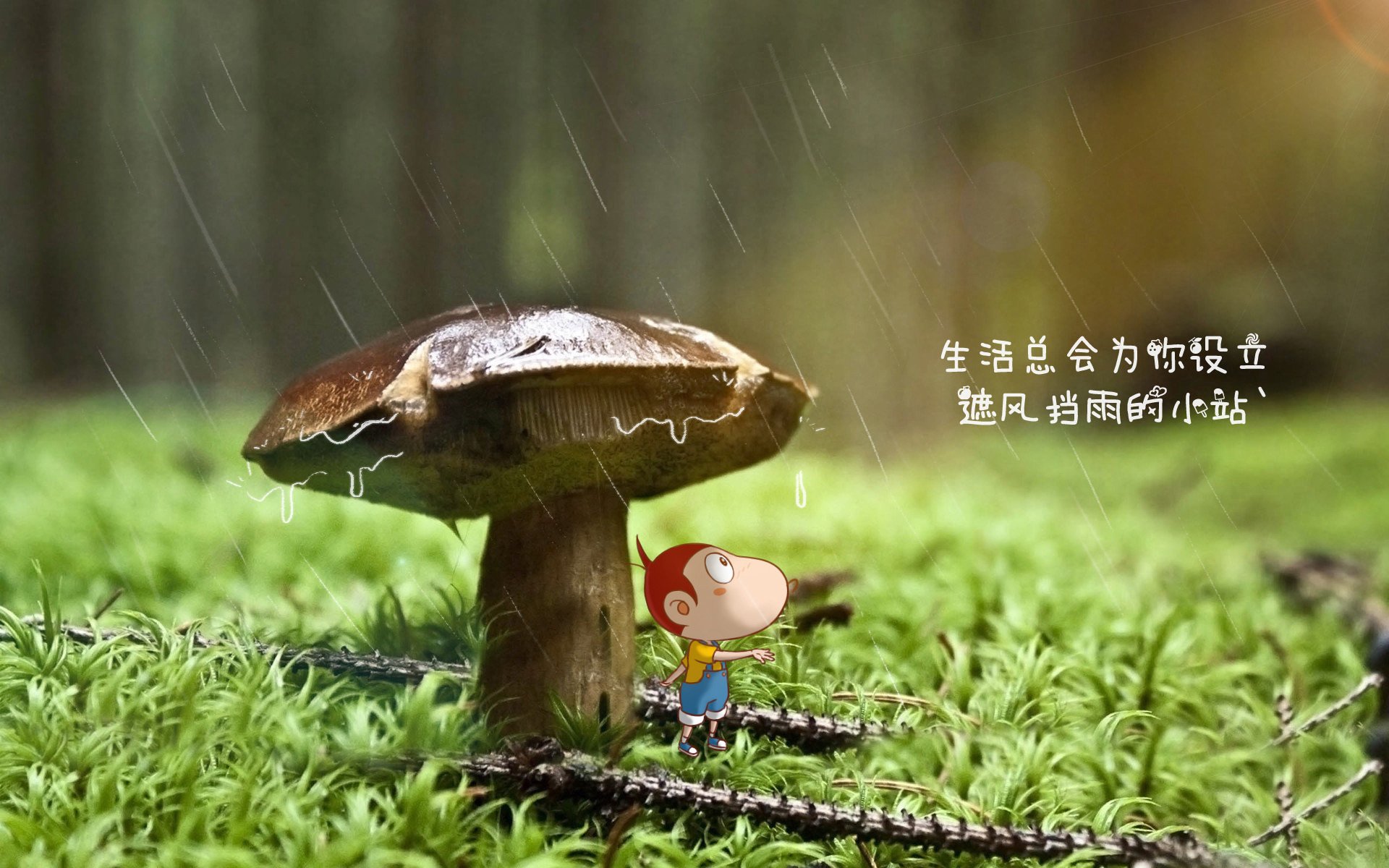 开云体育平台APP-孤城万仞，范戴克与2026世界杯决赛的防守史诗