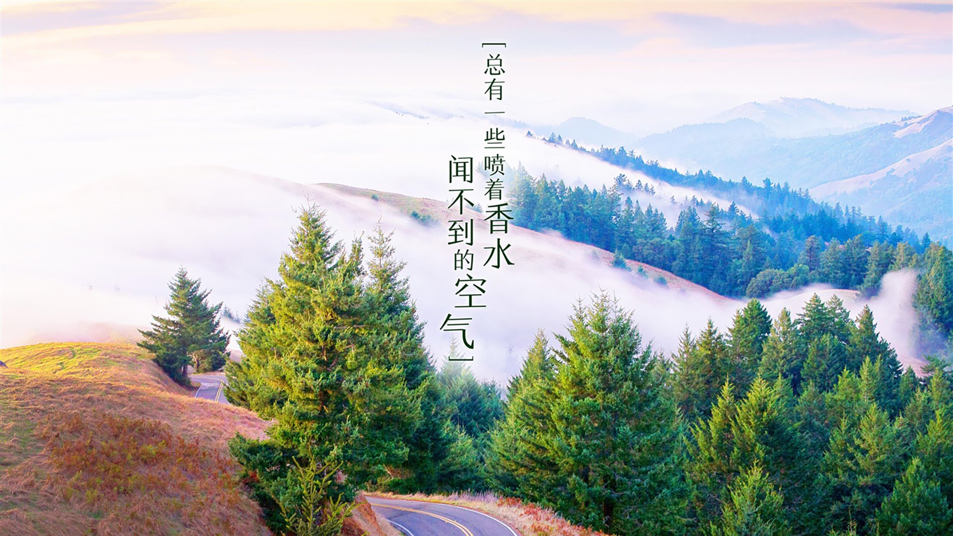 开云sport-节奏的暗战,2026世界杯B组关键战,丹麦险胜日本,穆西亚拉带队取胜,节奏掌控
