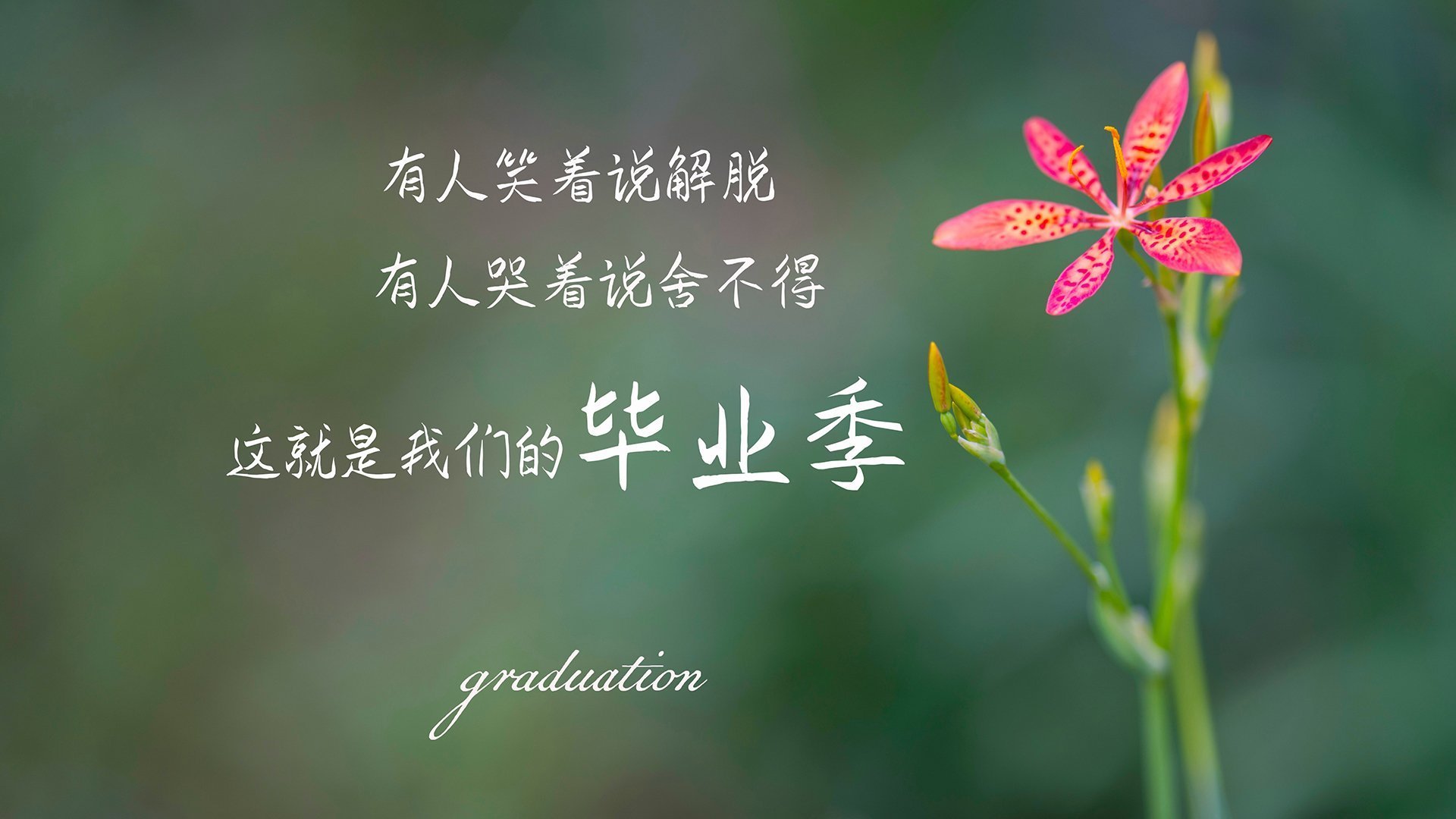 开云体育在线-钢铁防线与中场大师，阿联酋如何在美国队身上刻下2026世界杯D组唯一的烙印