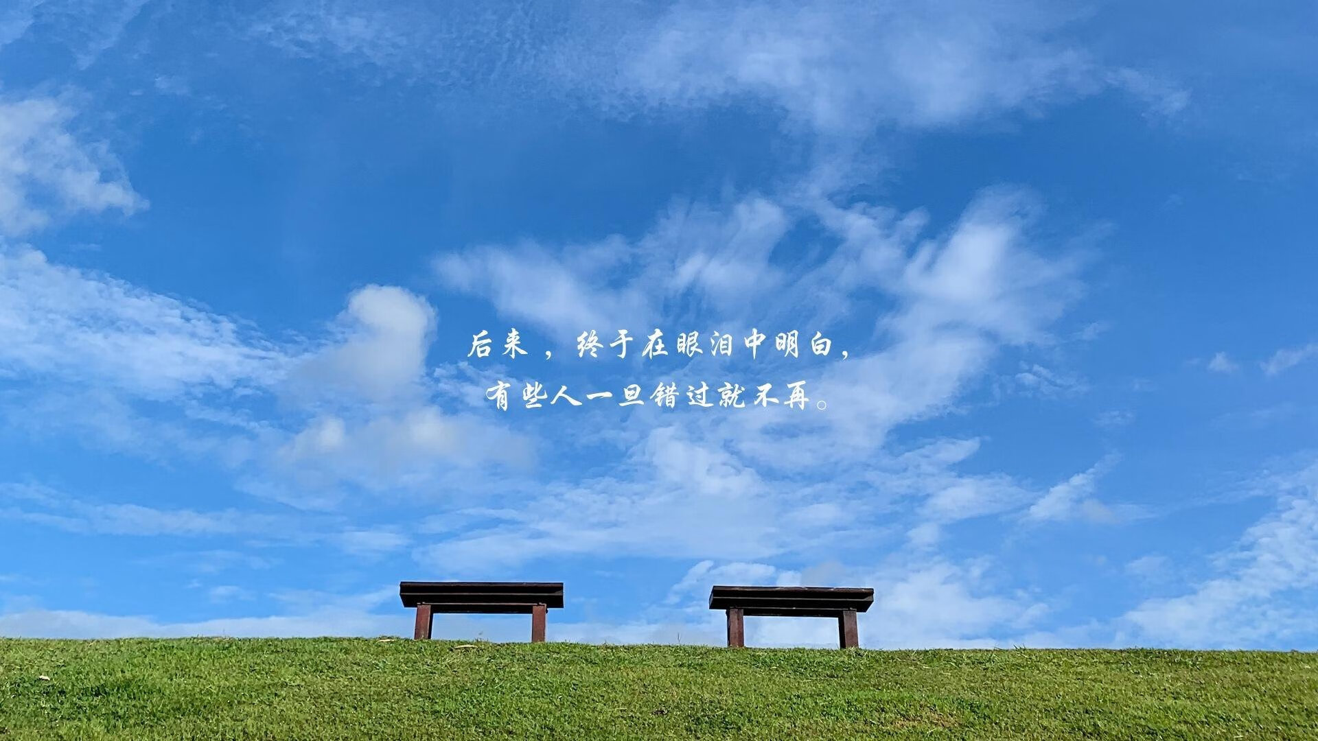开云体育登录-王者归途，2026世界杯焦点战，德国以罗德里戈之刃斩落波兰，战术革命的完美注脚